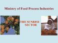 Ministry of Food Process Industries PowerPoint PPT Presentation
