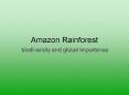 Amazon Rainforest PowerPoint PPT Presentation