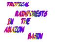 TROPICAL RAINFORESTS IN THE AMAZON BASIN PowerPoint PPT Presentation