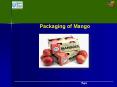 Packaging of Mango PowerPoint PPT Presentation
