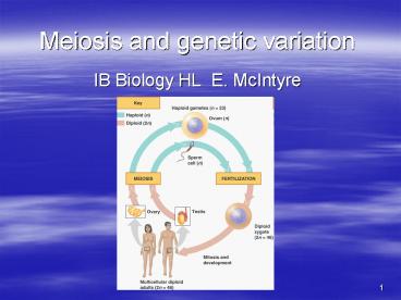 Meiosis and genetic variation