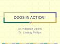 DOGS IN ACTION!! PowerPoint PPT Presentation