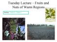 Tuesday Lecture  PowerPoint PPT Presentation