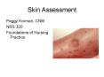Skin Assessment PowerPoint PPT Presentation