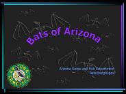 Bats of Arizona