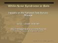 White-Nose Syndrome in Bats PowerPoint PPT Presentation