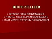 BIOFERTILIZER