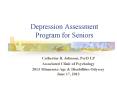 Depression Assessment Program for Seniors PowerPoint PPT Presentation