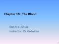 Chapter 19: The Blood PowerPoint PPT Presentation