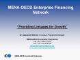 MENA-OECD Enterprise Financing Network PowerPoint PPT Presentation