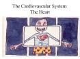 The Cardiovascular System: The Heart PowerPoint PPT Presentation