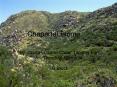 Chaparral Biome PowerPoint PPT Presentation