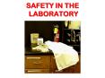 SAFETY IN THE  LABORATORY PowerPoint PPT Presentation