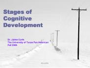 Stages of Cognitive Development PowerPoint PPT Presentation