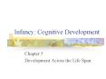 Infancy: Cognitive Development PowerPoint PPT Presentation