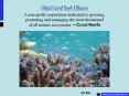 Global Coral Reef Alliance A non-profit corporation dedicated to growing, protecting and managing the most threatened of all marine ecosystems  PowerPoint PPT Presentation