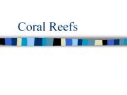 Coral Reefs