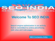 Professional SEO Company India