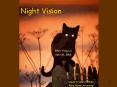 Night Vision PowerPoint PPT Presentation