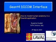 Geant4 DICOM Interface