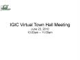 IGIC Virtual Town Hall Meeting PowerPoint PPT Presentation