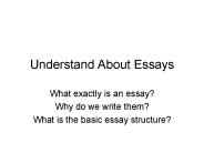 Understand About Essays