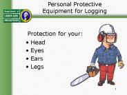 Personal Protective Equipment for Logging