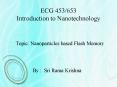 ECG 453/653 Introduction to Nanotechnology PowerPoint PPT Presentation
