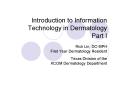 Introduction to Information Technology in Dermatology Part I PowerPoint PPT Presentation