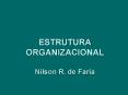 ESTRUTURA ORGANIZACIONAL Nilson R. de Faria PowerPoint PPT Presentation