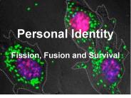 Personal Identity Fission, Fusion and Survival