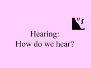 Hearing:%20How%20do%20we%20hear?