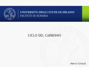 CICLO DEL CARBONIO
