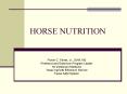 HORSE NUTRITION PowerPoint PPT Presentation