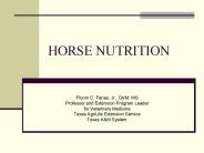 HORSE NUTRITION