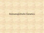 Immunoglobulin Genetics