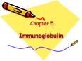 Chapter 5 Immunoglobulin PowerPoint PPT Presentation
