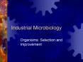 Industrial Microbiology PowerPoint PPT Presentation