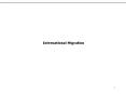 International Migration PowerPoint PPT Presentation