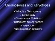 Chromosomes and Karyotypes