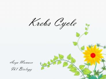 Krebs Cycle