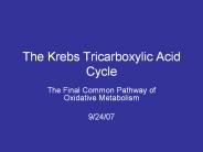 The Krebs Tricarboxylic Acid Cycle