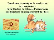 Parasitisme et strat