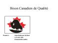 Bison Canadien de Qualit PowerPoint PPT Presentation