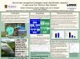 How do lake management strategies impact denitrification capacity? A case study from Rotorua, New Zealand. Denise A. Bruesewitz1, David P. Hamilton1 and Louis A. Schipper2 The University of Waikato, 1Department of Biological Sciences, Centre for PowerPoint PPT Presentation