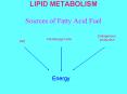 LIPID METABOLISM  Sources of Fatty Acid Fuel PowerPoint PPT Presentation