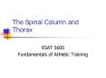 The Spinal Column and Thorax PowerPoint PPT Presentation