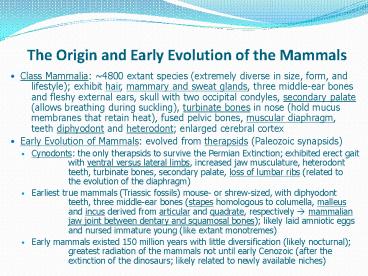 The Origin and Early Evolution of the Mammals
