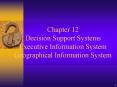 Chapter 12 Decision Support Systems Executive Information System Geographical Information System PowerPoint PPT Presentation