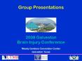 2008 Galveston Brain Injury Conference PowerPoint PPT Presentation